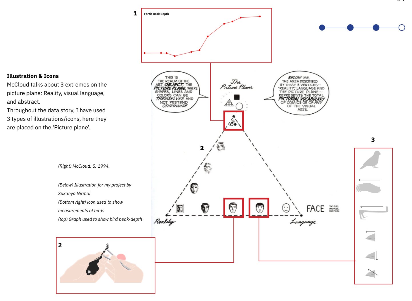 Three illustration types placed on McCloud's picture plane: an abstract beak-depth line graph, a hand-drawn illustration of hands measuring a finch, and grey measurement icons
