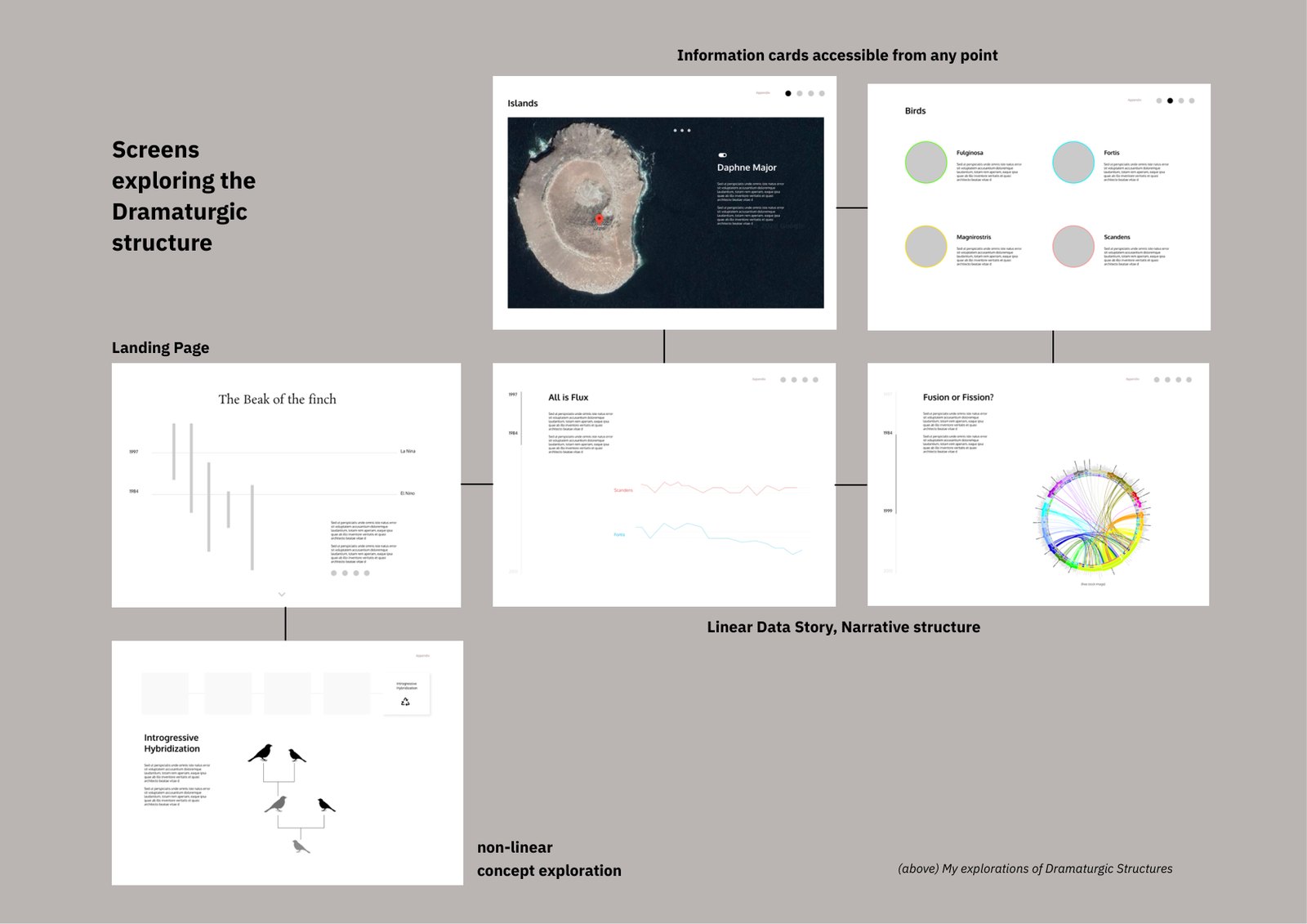 Phase 1 screen mocks: a landing timeline, information cards for islands and birds, linear story screens and a non-linear concept card